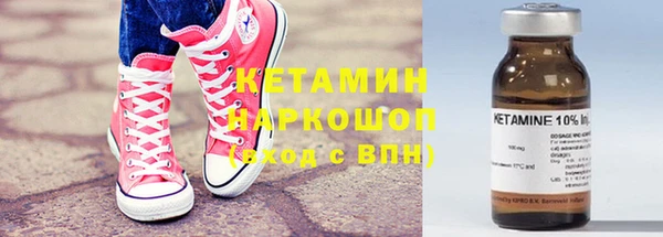 молекула духа Вяземский