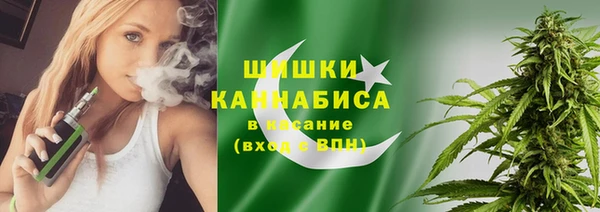 молекула духа Вяземский