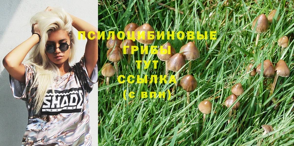 молекула духа Вяземский