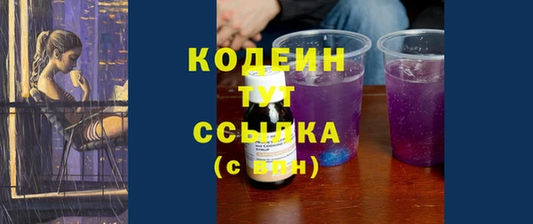 молекула духа Вяземский
