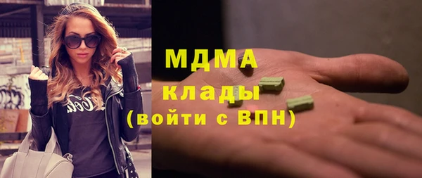 молекула духа Вяземский