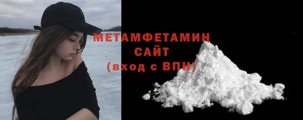 молекула духа Вяземский