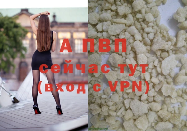 молекула духа Вяземский