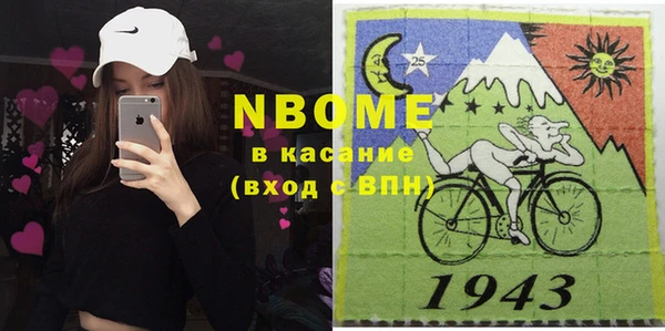молекула духа Вяземский