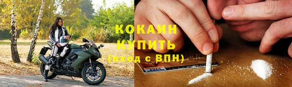 молекула духа Вяземский