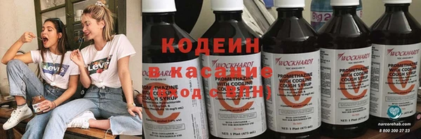 молекула духа Вяземский