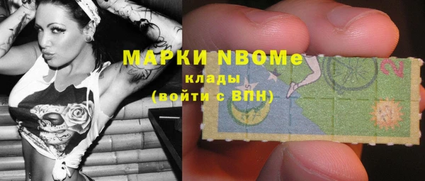 молекула духа Вяземский