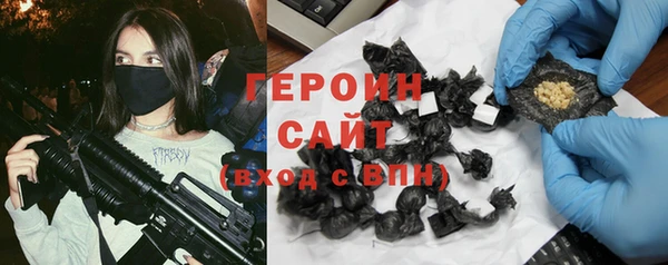 молекула духа Вяземский