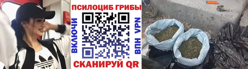 Галлюциногенные грибы GOLDEN TEACHER OMG маркетплейс Салават цена